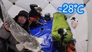 видео: НАЛИМЫ АТАКОВАЛИ ЖЕРЛИЦЫ!!! Эта ночёвка запомниться навсегда!!! картинка: НАЛИМЫ АТАКОВАЛИ ЖЕРЛИЦЫ!!! Эта ночёвка запомниться навсегда!!!