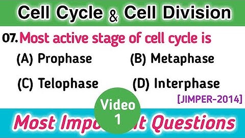 cell division mcq - mcq on cell cycle and cell division - Part 1