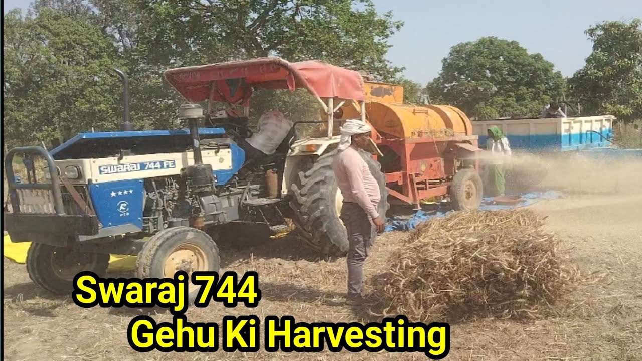 Gehu Tree Swaraj 744 Best Gehu Ki Harvesting & Gehu Ki Harvesting Video - YouTube