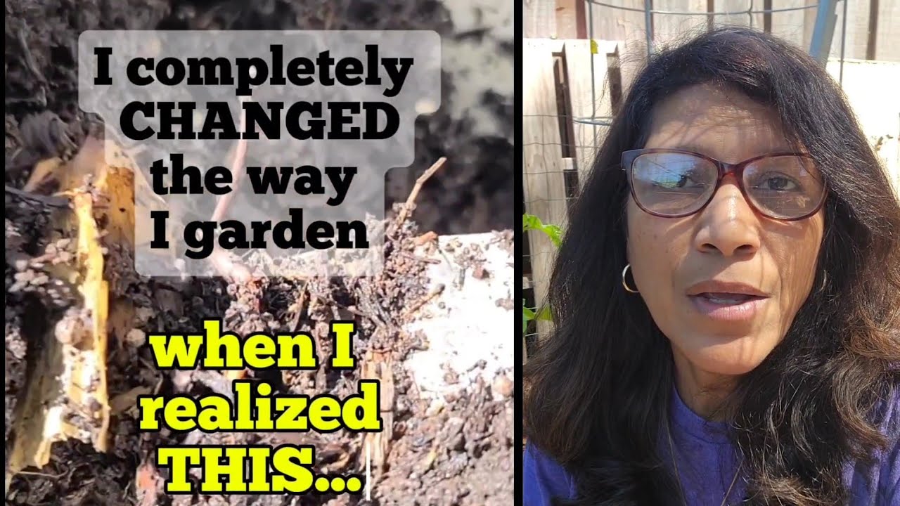 5 THINGS I will do differently FOREVER in the garden! - YouTube
