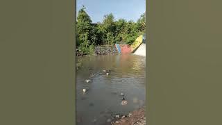 Download lagu Sungai dam condrong