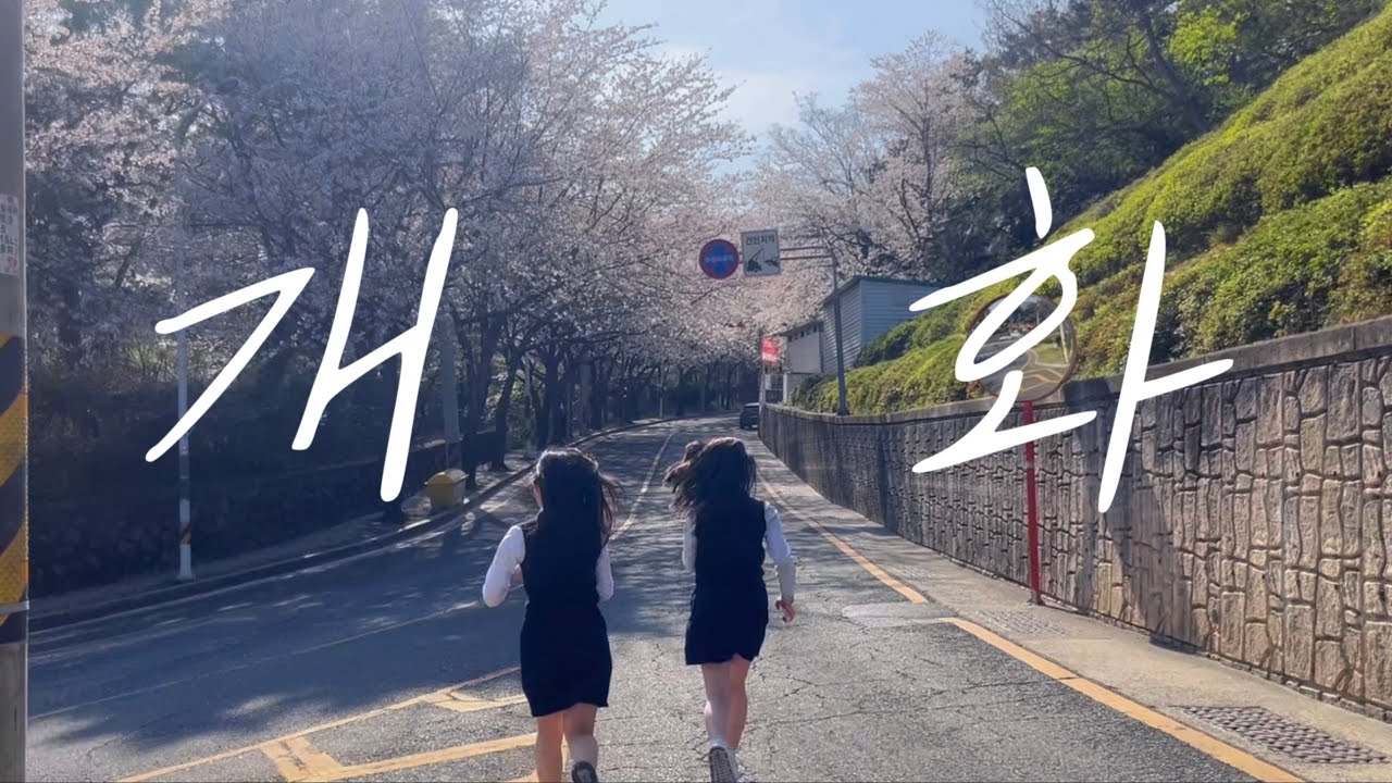 2026 금정여자고등학교 입학 축하 영상 / 개화(開花)-LUCY