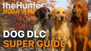 Dog DLC Guide: Bloodhound, Labrador Retriever & German Shorthaired Pointer | Hunter Call of the Wild