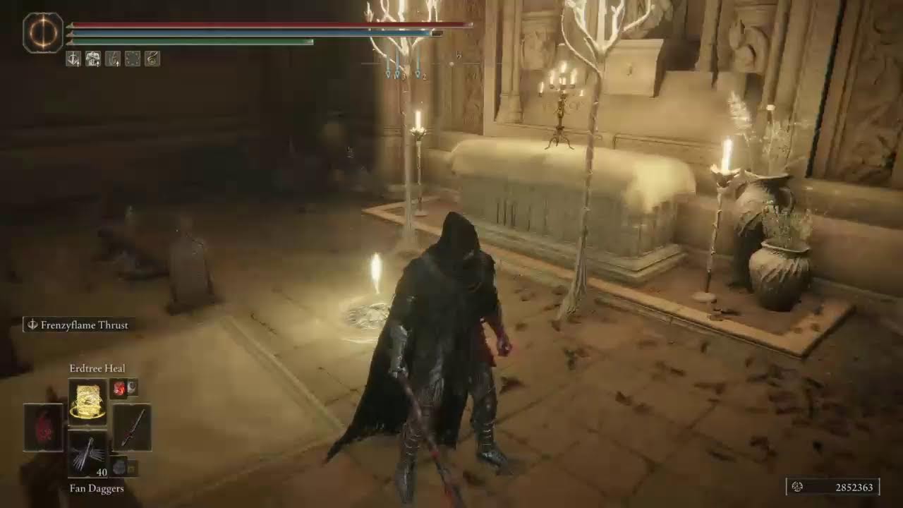 Drizzt Do`Urden takes on the Melee-Magathere! Elden Ring Colosseum