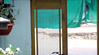 Education Open Doors