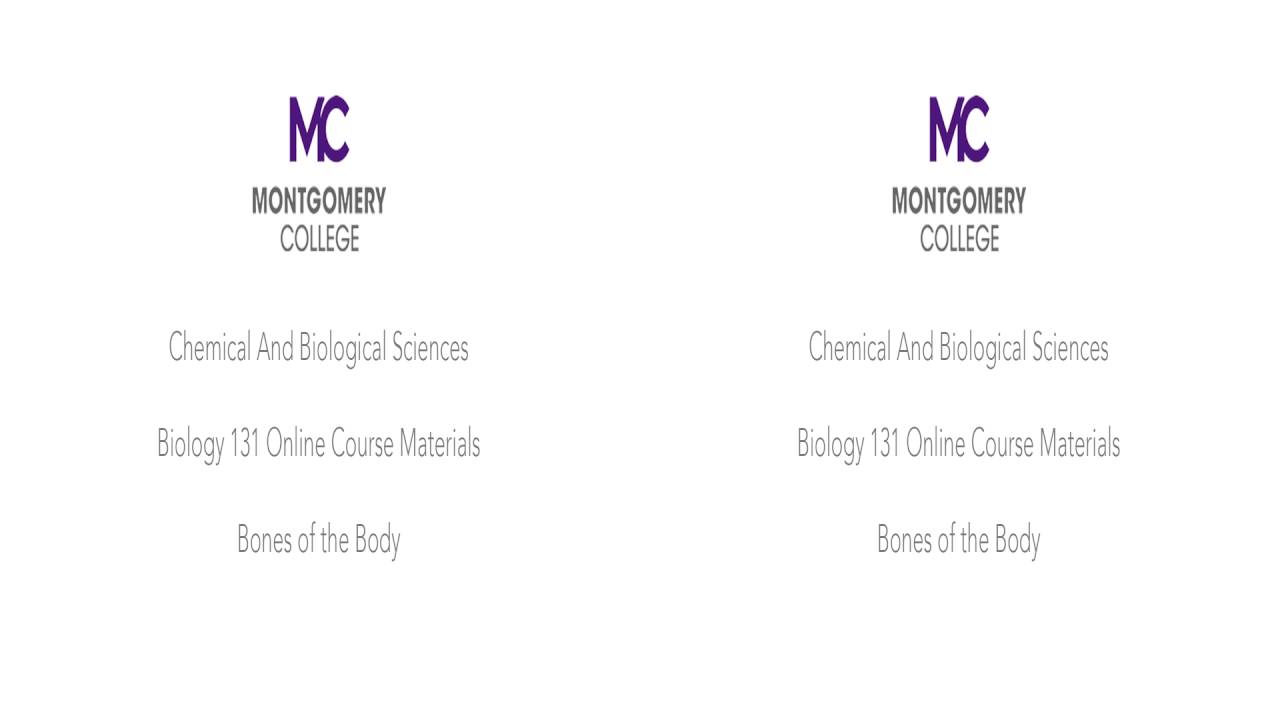 MC CBS Bones PLAYLIST