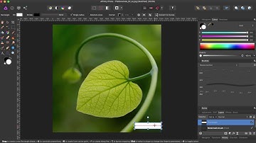 01a Affinity Photo - Changing colors of monochrome watermark image brush
