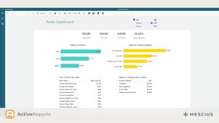 ActiveReports in Under 2 Minutes Information