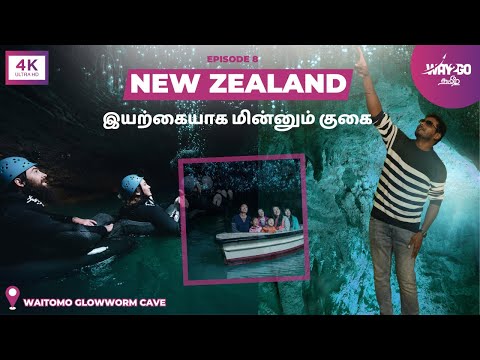 நியூசிலாந்தில் பூமிக்கு அடியில் மின்னும் குகை | ஆச்சரியம் ஆனால் உண்மை | Waitomo | 4K | Way2go தமிழ்