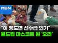 "FIFA와 광고도 찍었다"…생수 파는 오리, 월드컵 스타 등극 [포크뉴스]