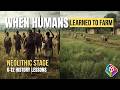 History Lesson   Neolithic Age