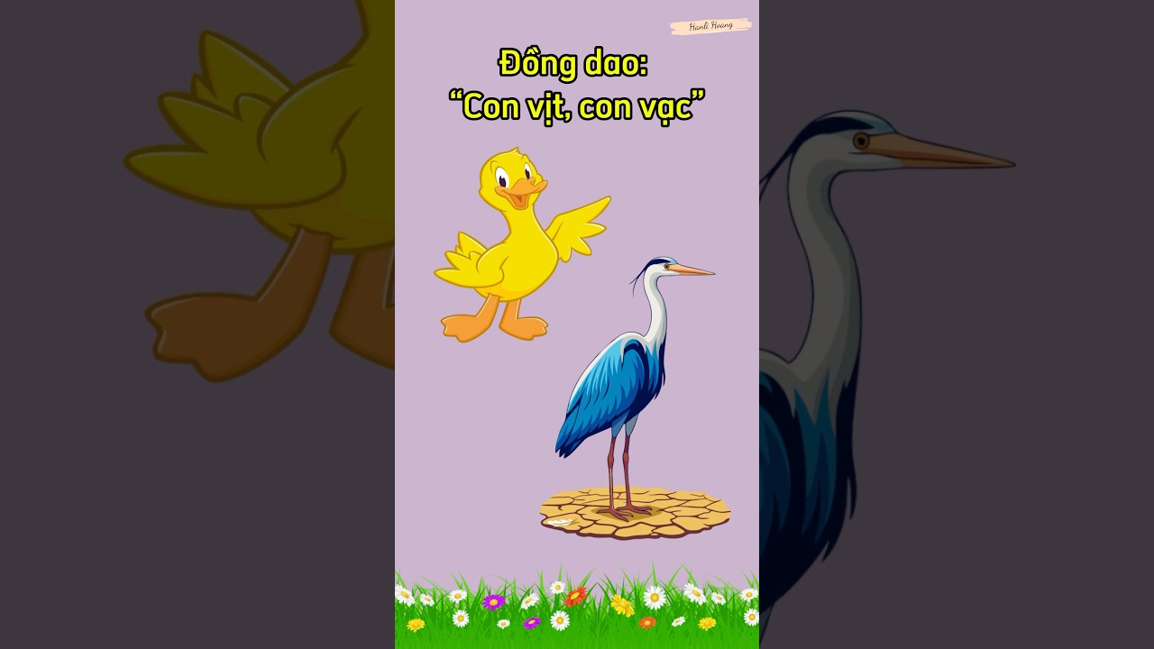 Bài đồng dao: “CON VỊT, CON VẠC” || Bài đồng dao hay cho trẻ mầm non || Bài đồng dao cho trẻ 3 tuổi