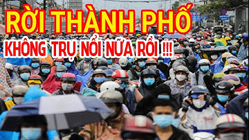 Cơn Đại Khủng Hoảng Ngầm: Phá Sản, Thất Nghiệp Và Làn Sóng Bỏ Phố Đang Xé Toạc Thập Kỷ Này