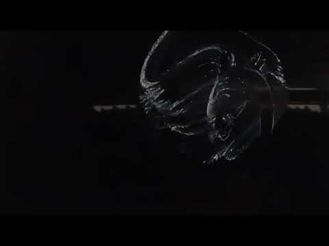 Cara poles kaca - YouTube