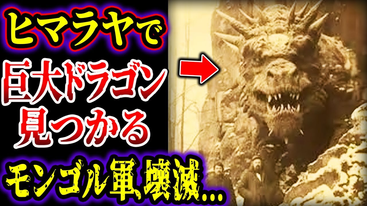 【ゆっくり解説】巨大ドラゴン、ヒマラヤで見つかる…!! モンゴル軍を壊滅させた怪物...!! 世界各地で目撃されたドラゴンたちがヤバい…!!!【UMA・未確認生物】