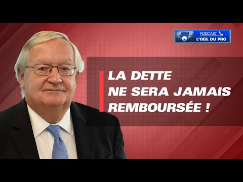 On ne remboursera jamais la dette ! (Patrick Artus)