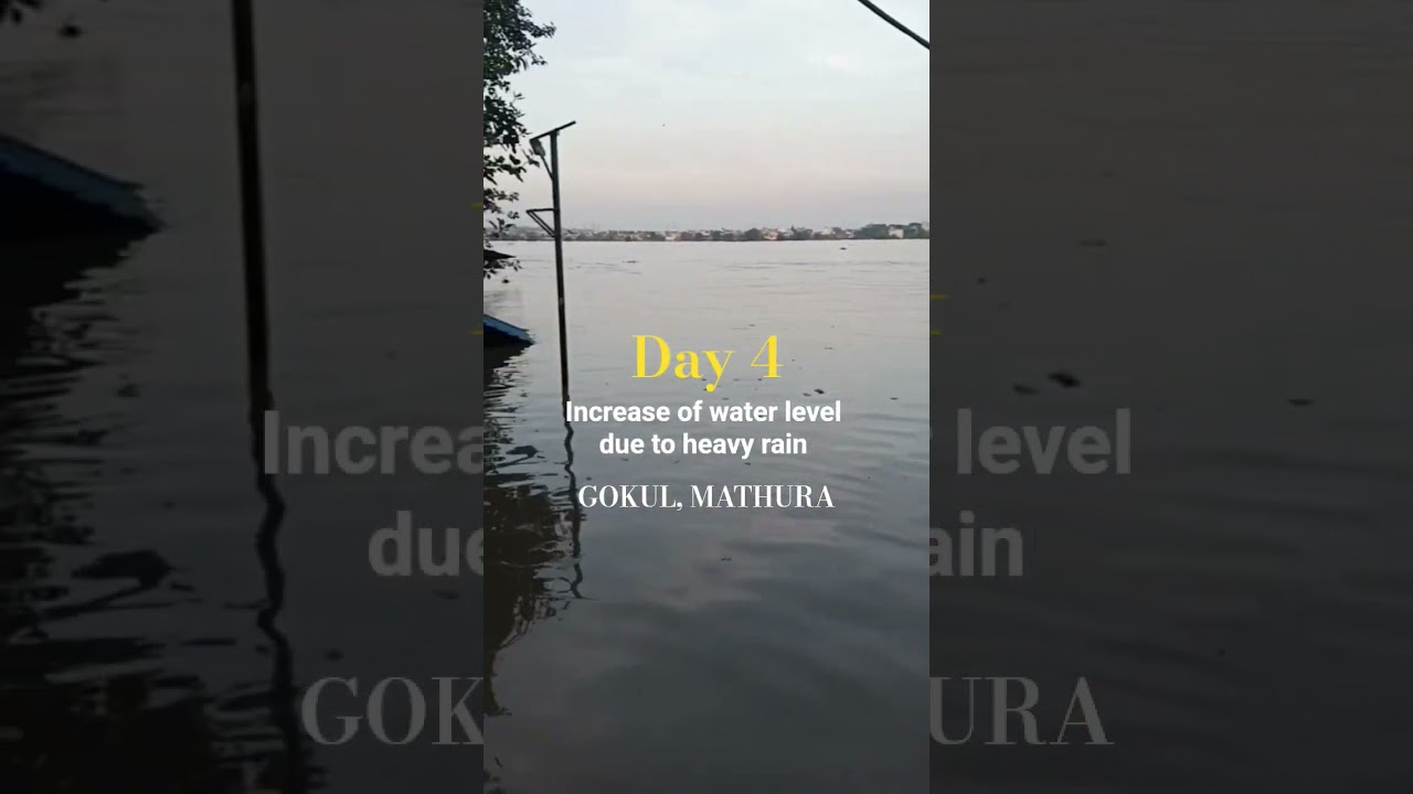 Jamuna Ji in Gokul, Mathura | Heavy Rain in Mathura | Water Level Increased in Thakrani Ghat
