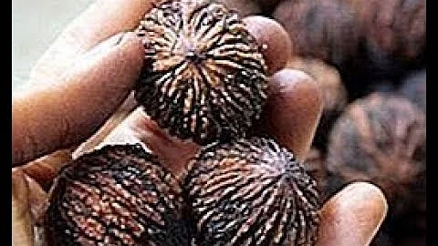 Perché le noci sono nere?