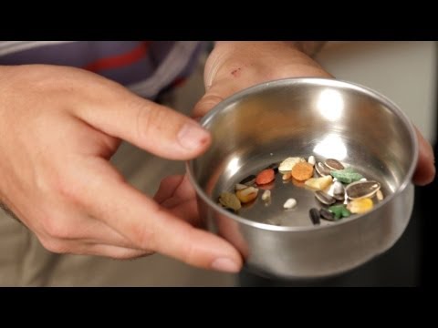 How to Pick Training Rewards | Parrot Training How to Pick Training Rewards | Parrot Training