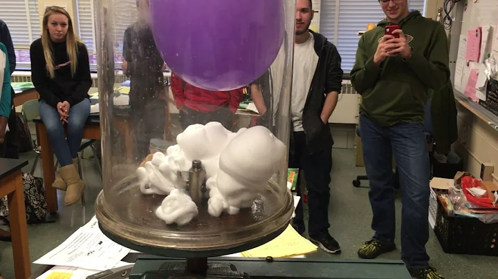 Balloon in a Bell Jar (plus shaving cream)