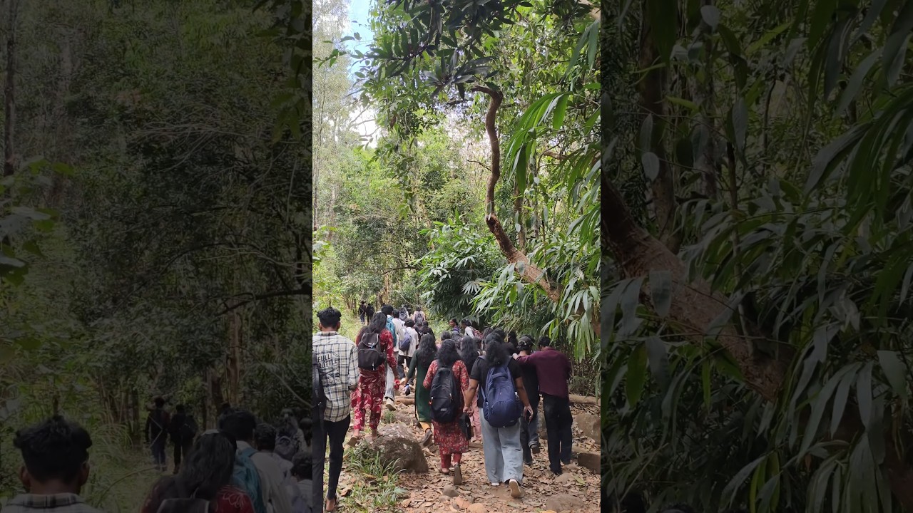 Черия ору Посоветуйте анэ😁✨🤍 