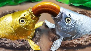 Stop Motion ASMR Golden Carp , Albino Fish Hunting Eels in the Ground  Underground | Adulterous Fish