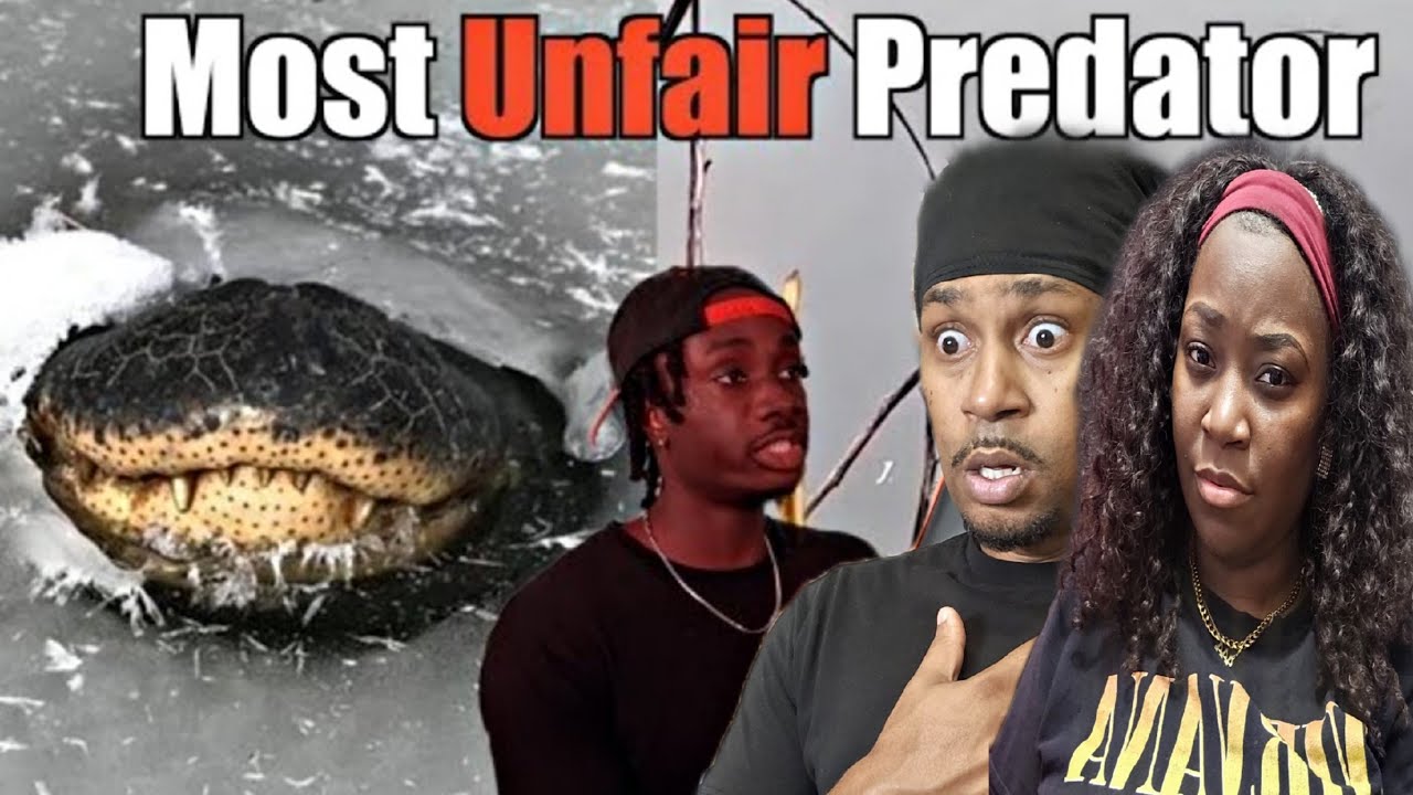 Почему это самый страшный хищник всех времён | Casual Geographic Reaction