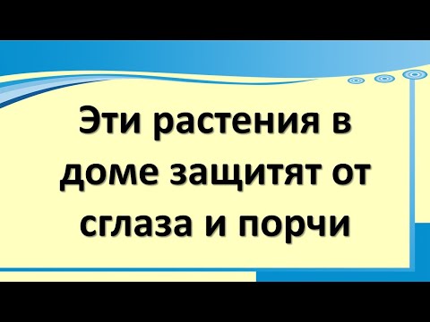 Video: Kā Pasargāt No Kopēšanas