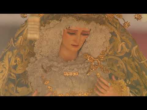 Pontificia, Real e Ilustre Hermandad Sacramental Purísima Concepción Ánimas Benditas del Purgatorio, San Sebastián Mártir y Archicofradía de Nazarenos del Santísimo Cristo de la Exaltación y Nuestra Señora de las Lágrimas