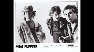 Meat Puppets - Sea Of Love (Phil Phillips/Honeydrippers)