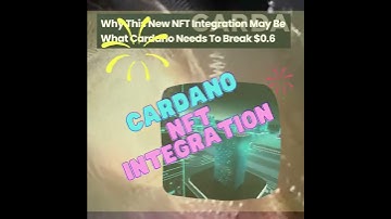 Cardano NFT Integration is perfect.