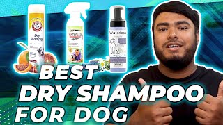 5 Best Dry Shampoos for Dogs in 2023 | Waterless Dog Shampoo [Rerview]