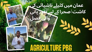 Prickly Pear Farming in Oman | Zero Water Crop for Desert | Presented by Ali khan screenshot 1
