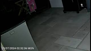 Reolink Argus Track - tracking mode at night