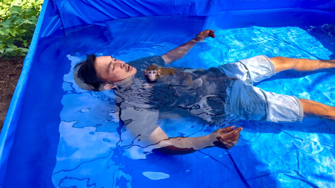 BiBi was surprised when his father bought a super large swimming pool