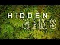 Nature Photography | Hidden Gems