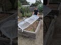Lets build this cheap and easy garden netting together #gardening