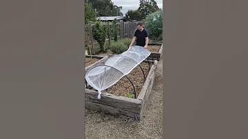 Lets build this cheap and easy garden netting together #gardening