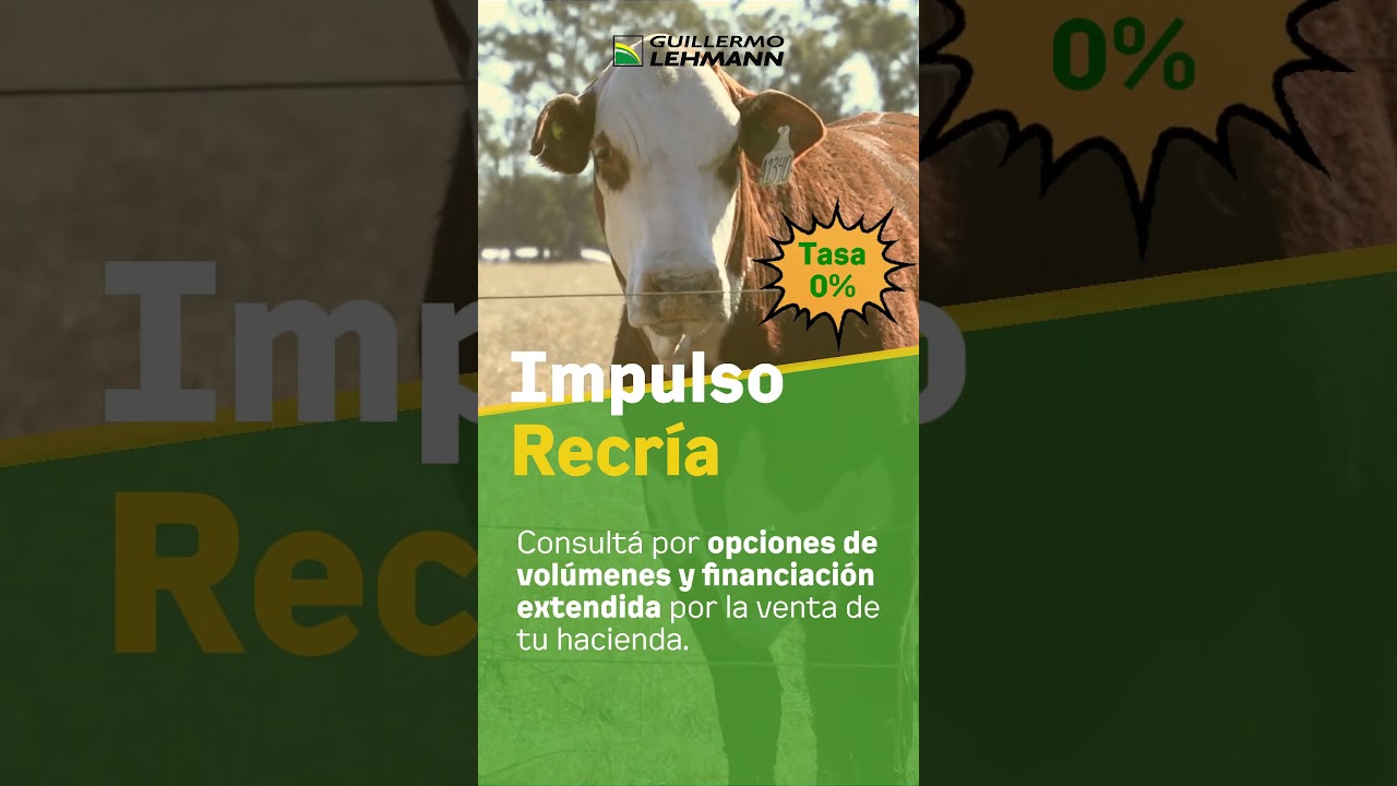Mejorá la rentabilidad de tu producción con el programa Impulso Recría