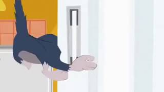 Tom And Jerry Show New Epesode You Want To See This Tom & Jerry A.