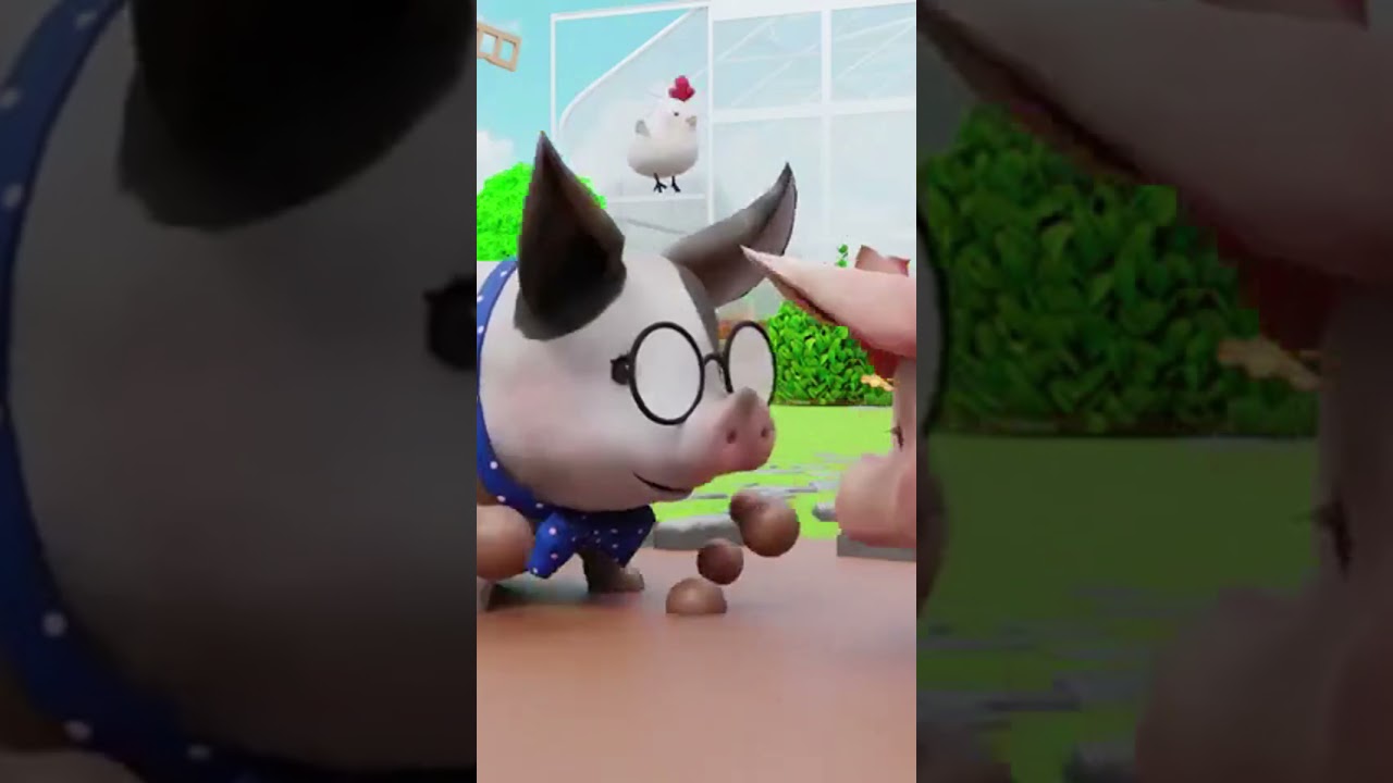 Hocuss Hard Work  Washing Pigs!