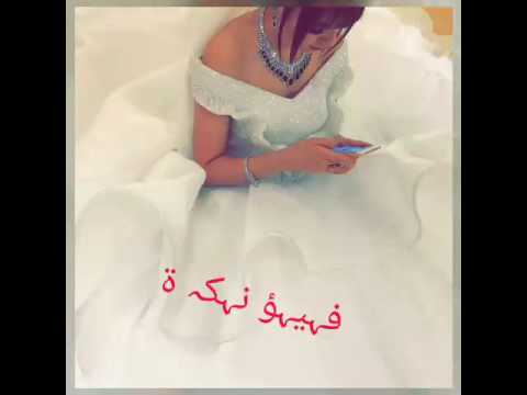 كلبيش كلبك يااخال