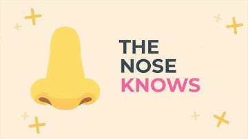 The Nose Knows: How Smell Triggers Memories