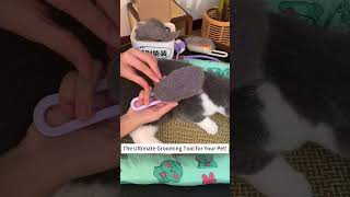 Spray + Massage + Grooming? This Comb Does It All!   #cat