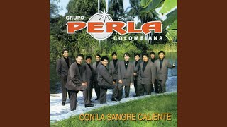 Video thumbnail of "Grupo Perla Colombiana - Melina"