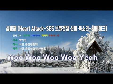 [은성 반주기] 심쿵해(Heart Attack-SBS 보컬전쟁신의목소리-리메이크) - 박정현