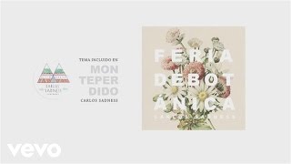 Carlos Sadness - Feria De Botanica (Audio)
