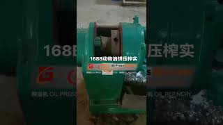 Guangxin YZYX168B Special Animal Oil Press Machine #oilpressmachine #oilmachine #oilmill