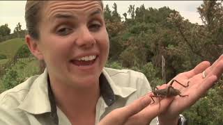 Meet The Locals Mahoenui