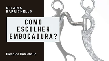 Qual a diferença entre cabresto e cabeçada?